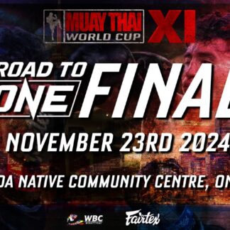 MTWC XI : Road to ONE final