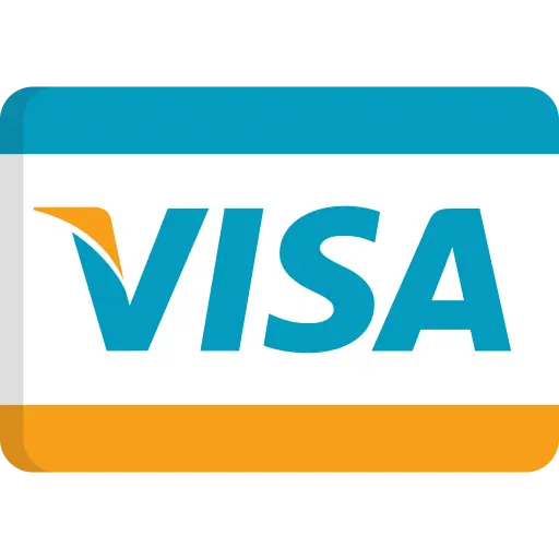 Pay with Visa